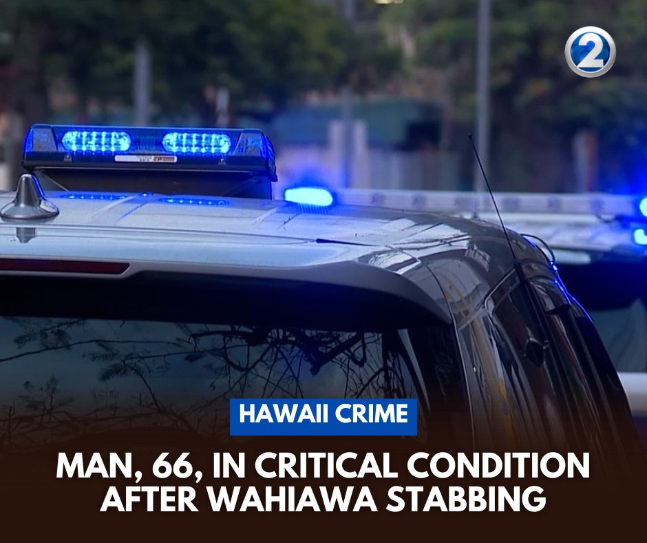 A man is in critical condition after a stabbing in Wahiawa.